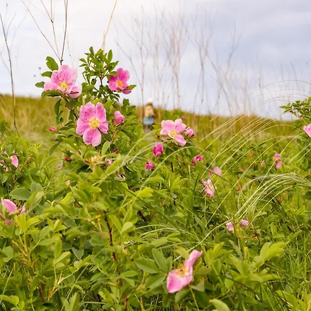 Apartment Nature Hideaway Hambachtal *