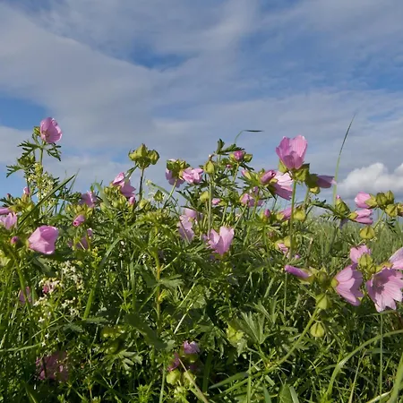 Nature Hideaway Hambachtal Apartment *