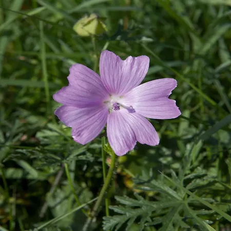 Nature Hideaway Hambachtal Apartment *