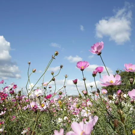 Nature Hideaway Hambachtal Oberhambach