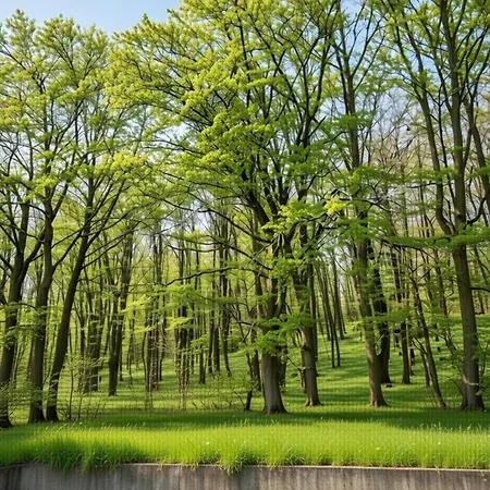 Nature Hideaway Hambachtal * Oberhambach