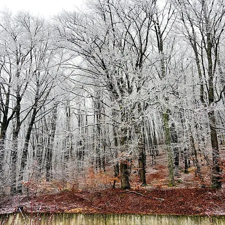 Nature Hideaway Hambachtal Apartment