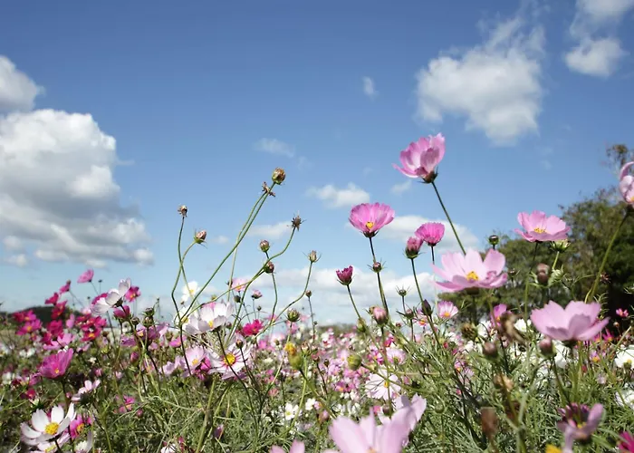 Nature Hideaway Hambachtal Oberhambach