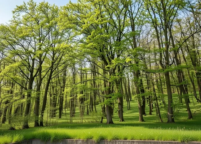 Nature Hideaway Hambachtal * Oberhambach