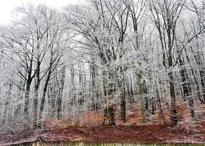 Nature Hideaway Hambachtal Appartamento